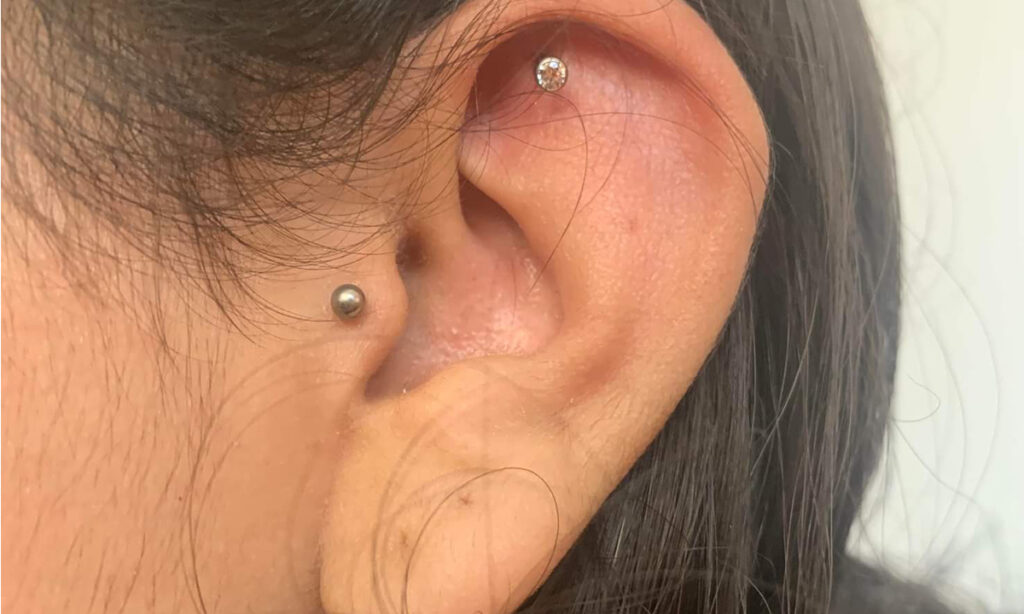 Tragus sales piercing bars