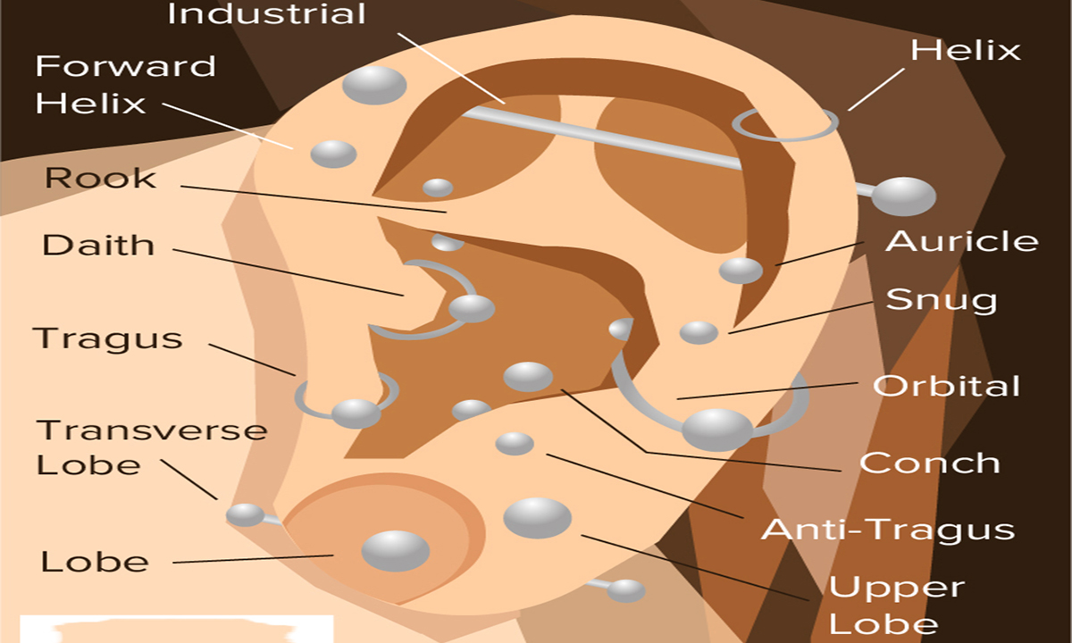 From Tragus to Helix: A Comprehensive Guide to Ear Piercing Types